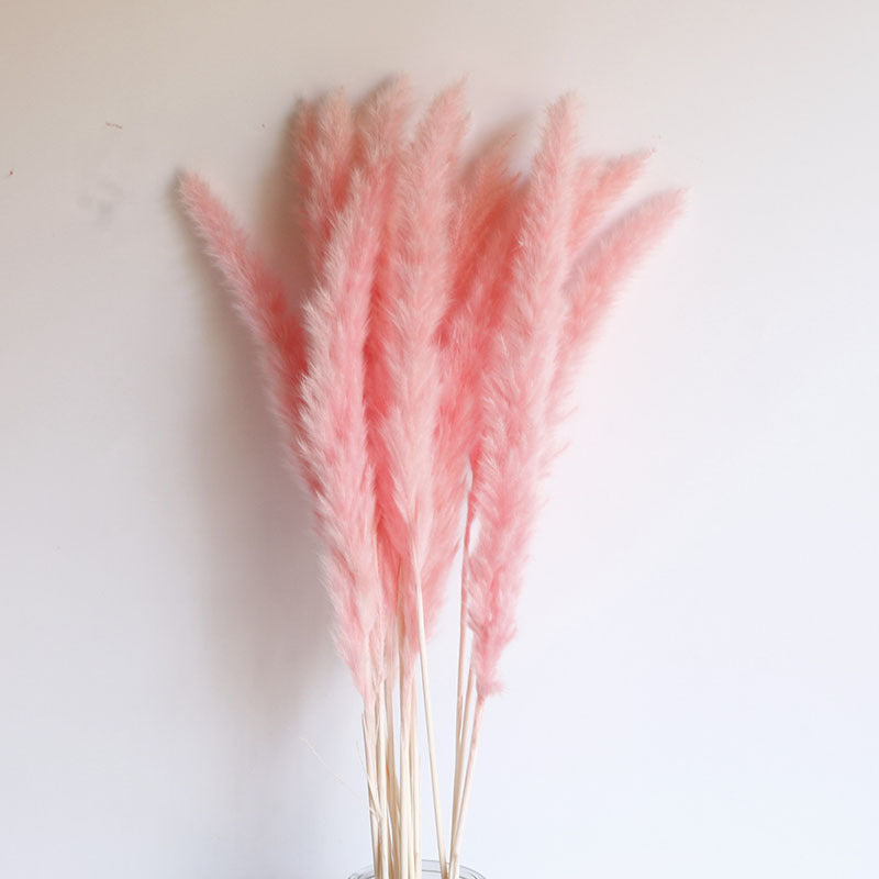 Dried Pampas Grass Bouquet - Wholesale from Yunnan Factory