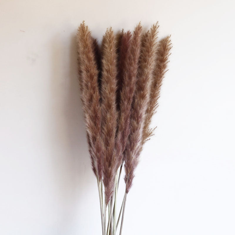 Dried Pampas Grass Bouquet - Wholesale from Yunnan Factory