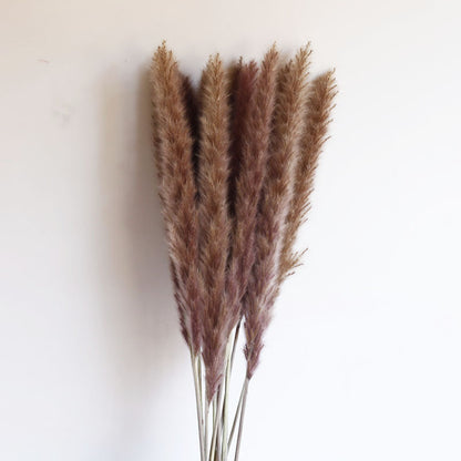 Dried Pampas Grass Bouquet - Wholesale from Yunnan Factory