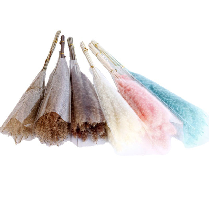 Dried Pampas Grass Bouquet - Wholesale from Yunnan Factory