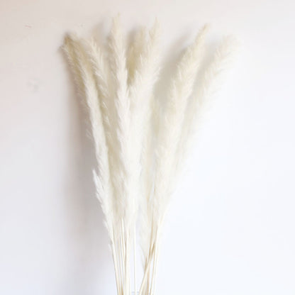 Dried Pampas Grass Bouquet - Wholesale from Yunnan Factory