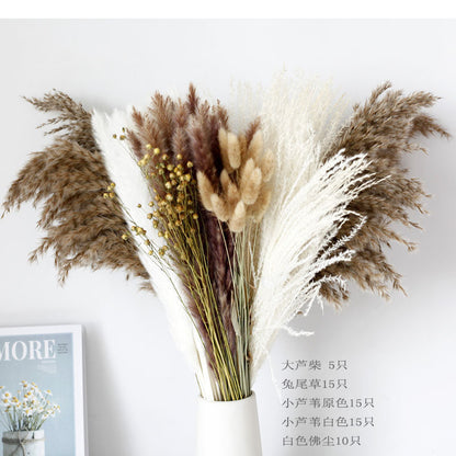 Dried Pampas Grass Bouquet - Wholesale from Yunnan Factory