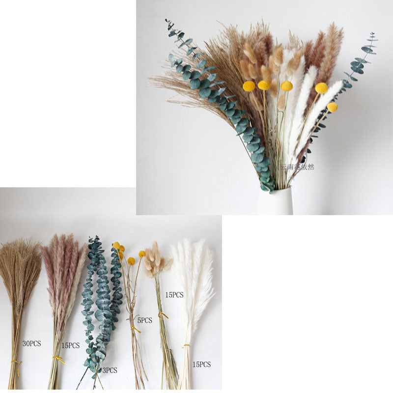 Dried Pampas Grass Bouquet - Wholesale from Yunnan Factory