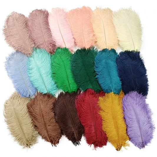 Colored Ostrich Feathers | 10-Piece Craft Feather Set | Wedding Centerpieces, DIY Decor & Costume Supplies