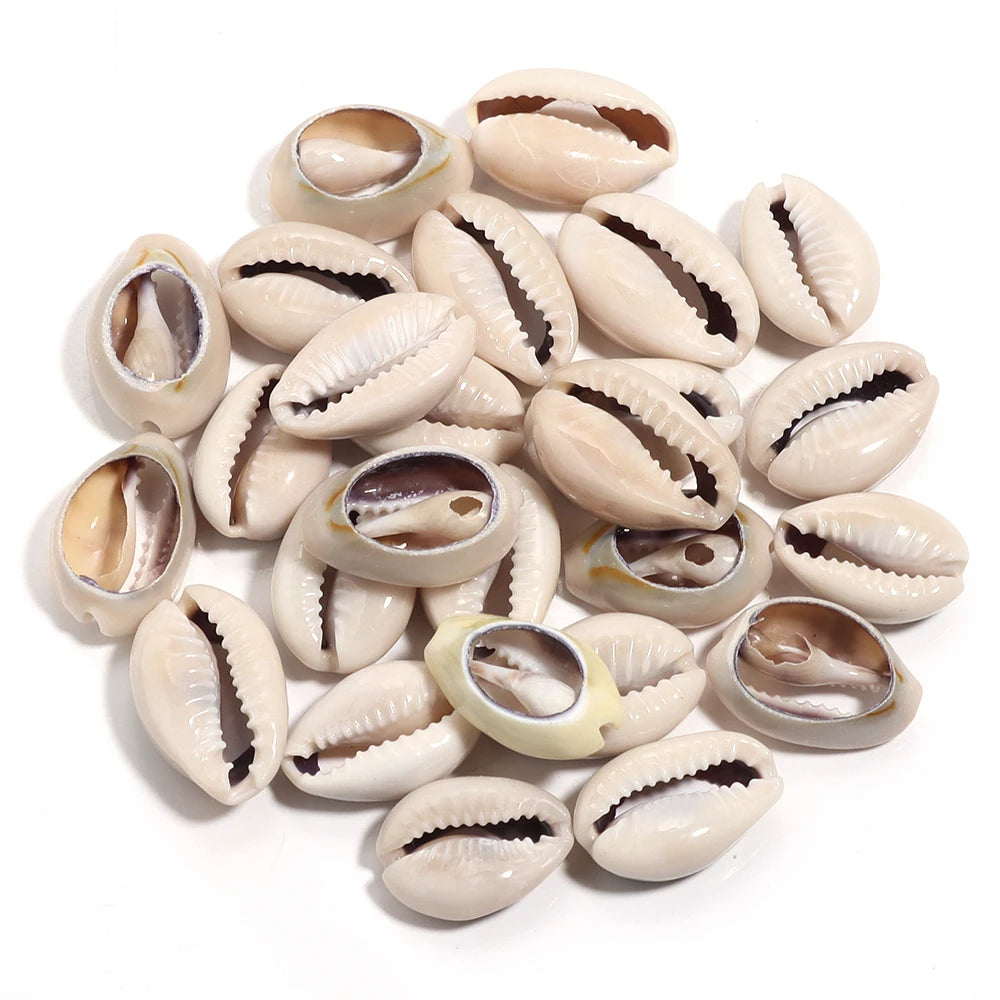Collection of small white shells with brown spots on a white background