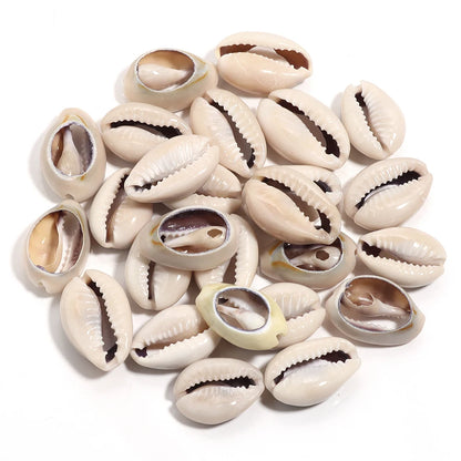 Collection of small white shells with brown spots on a white background