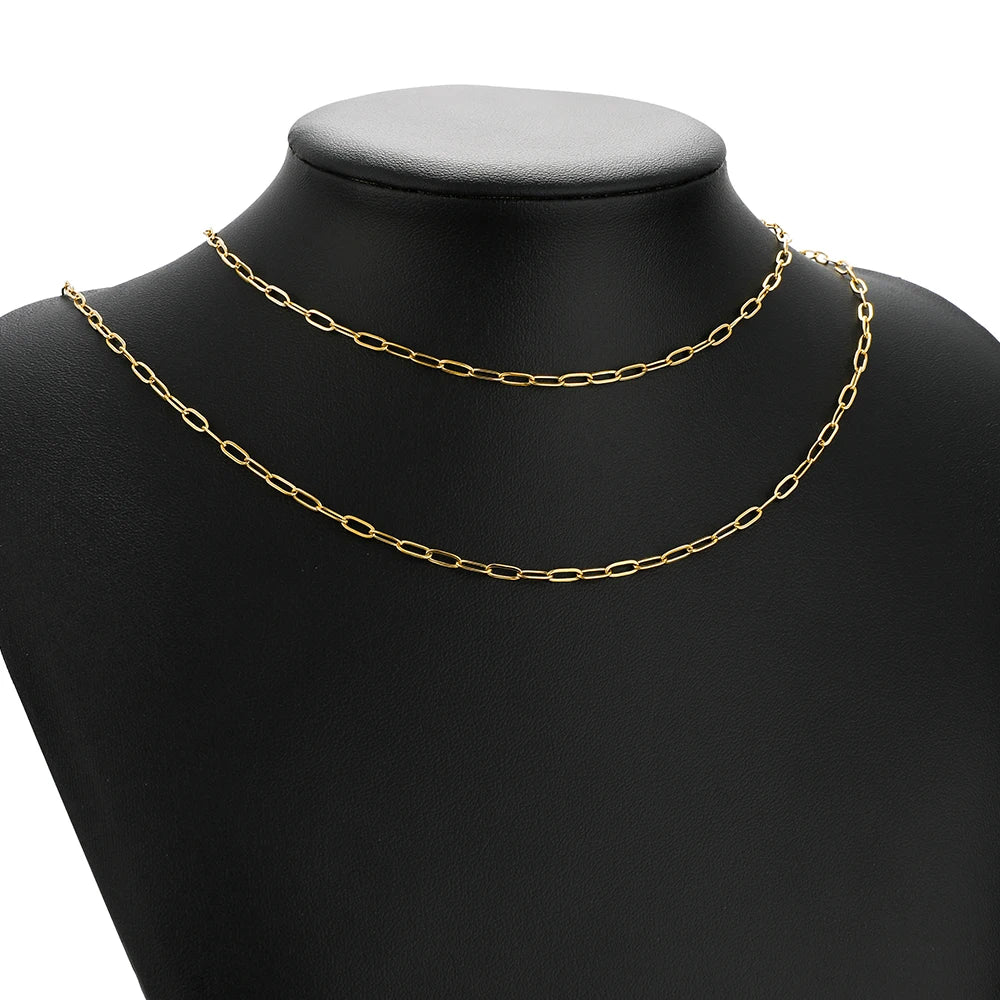 Stainless Steel Flat Link Chain | 2 Meter (6.5 feet) Bulk Jewelry Chain | DIY Necklace & Bracelet Making Supplies | Chain by the Roll