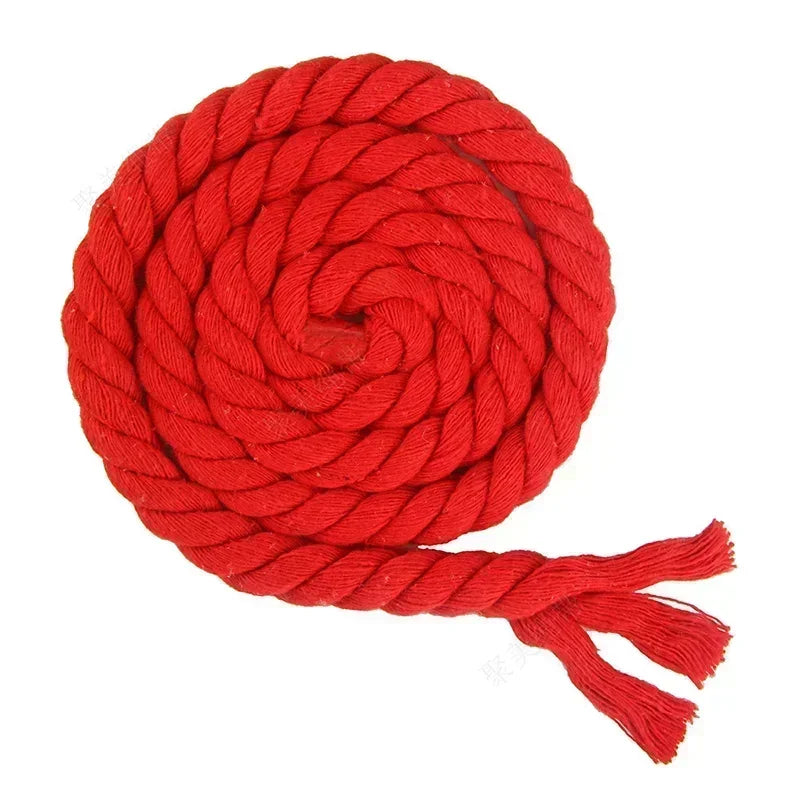 Red rope with tassels on a white background