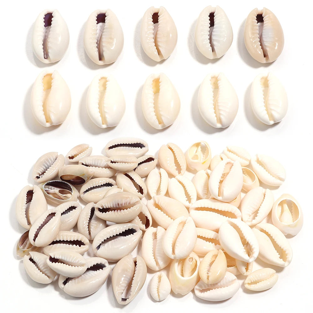 Collection of small shell beads on a white background