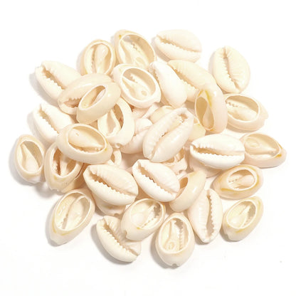 Pile of small beige shells on a white background