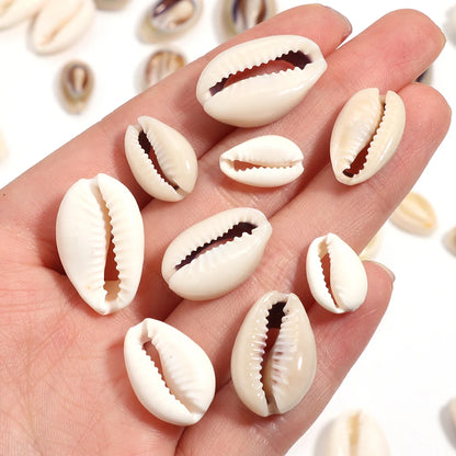 A hand holding several small cowrie shells, with additional cowrie shells scattered on a white background.