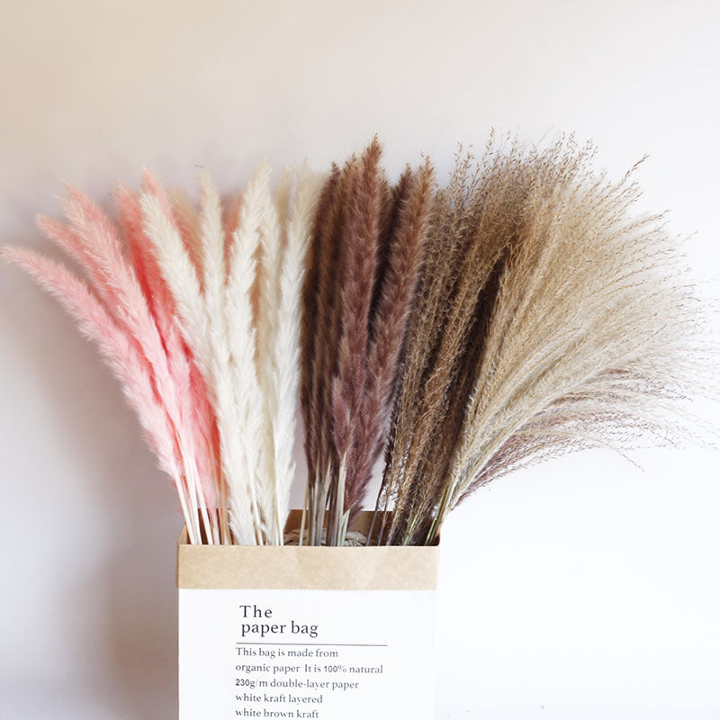 Dried Pampas Grass Bouquet - Wholesale from Yunnan Factory