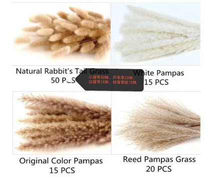 Dried Pampas Grass Bouquet - Wholesale from Yunnan Factory