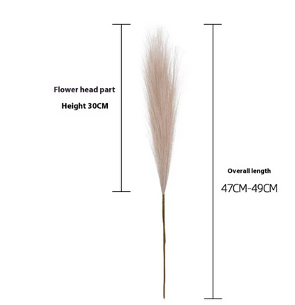Pampas Grass
