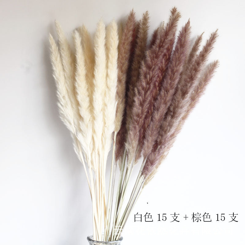 Dried Pampas Grass Bouquet - Wholesale from Yunnan Factory
